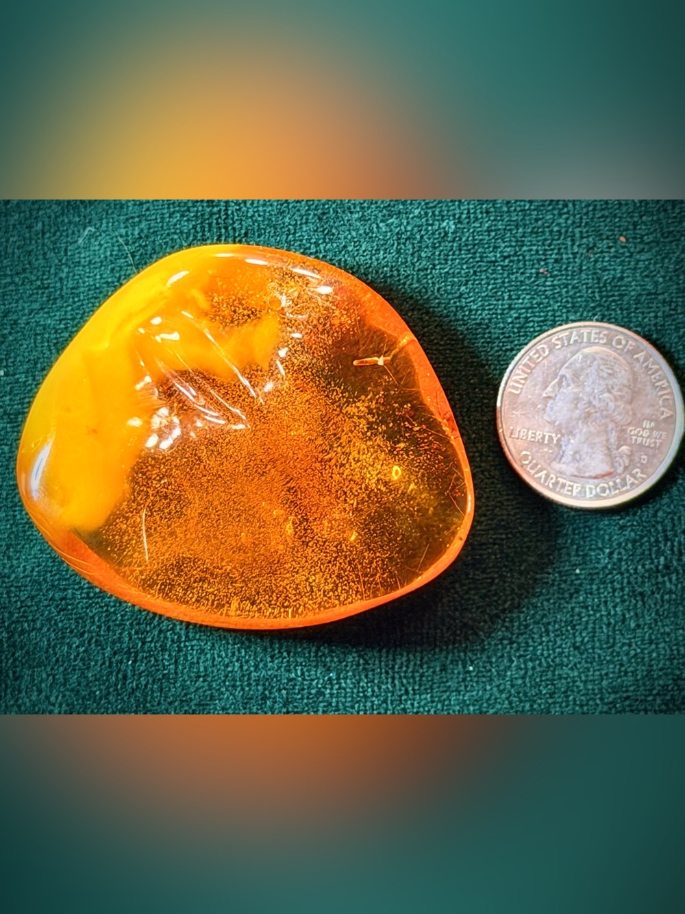 131.8 carat Lithuanian Baltic Amber pendant w/inclusions of grain/plant material